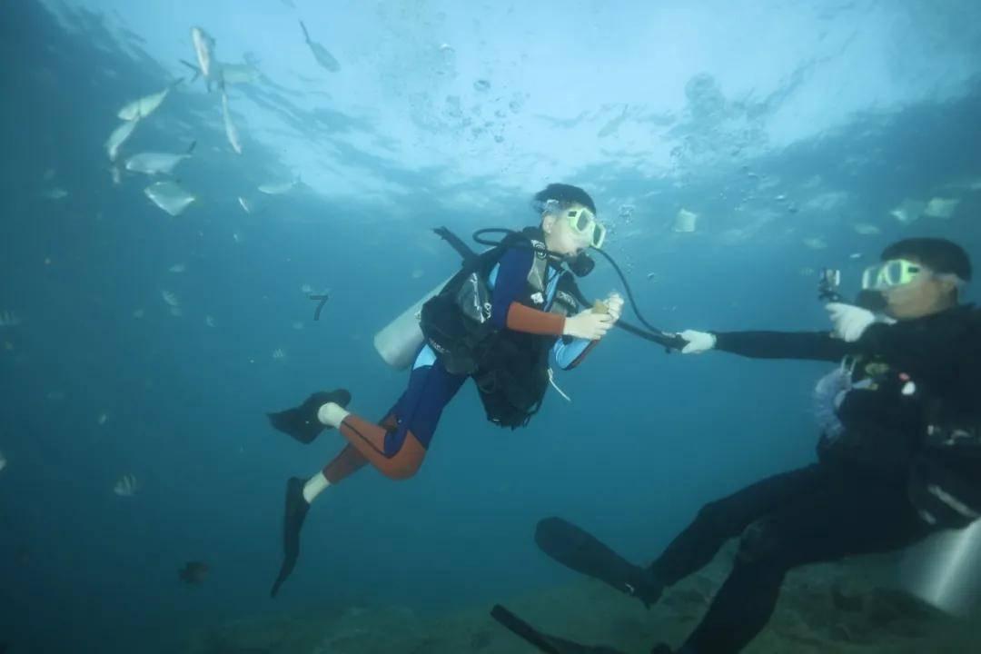 海底世界填颜色3